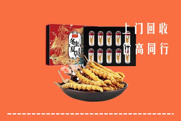 延寿县回收虫草